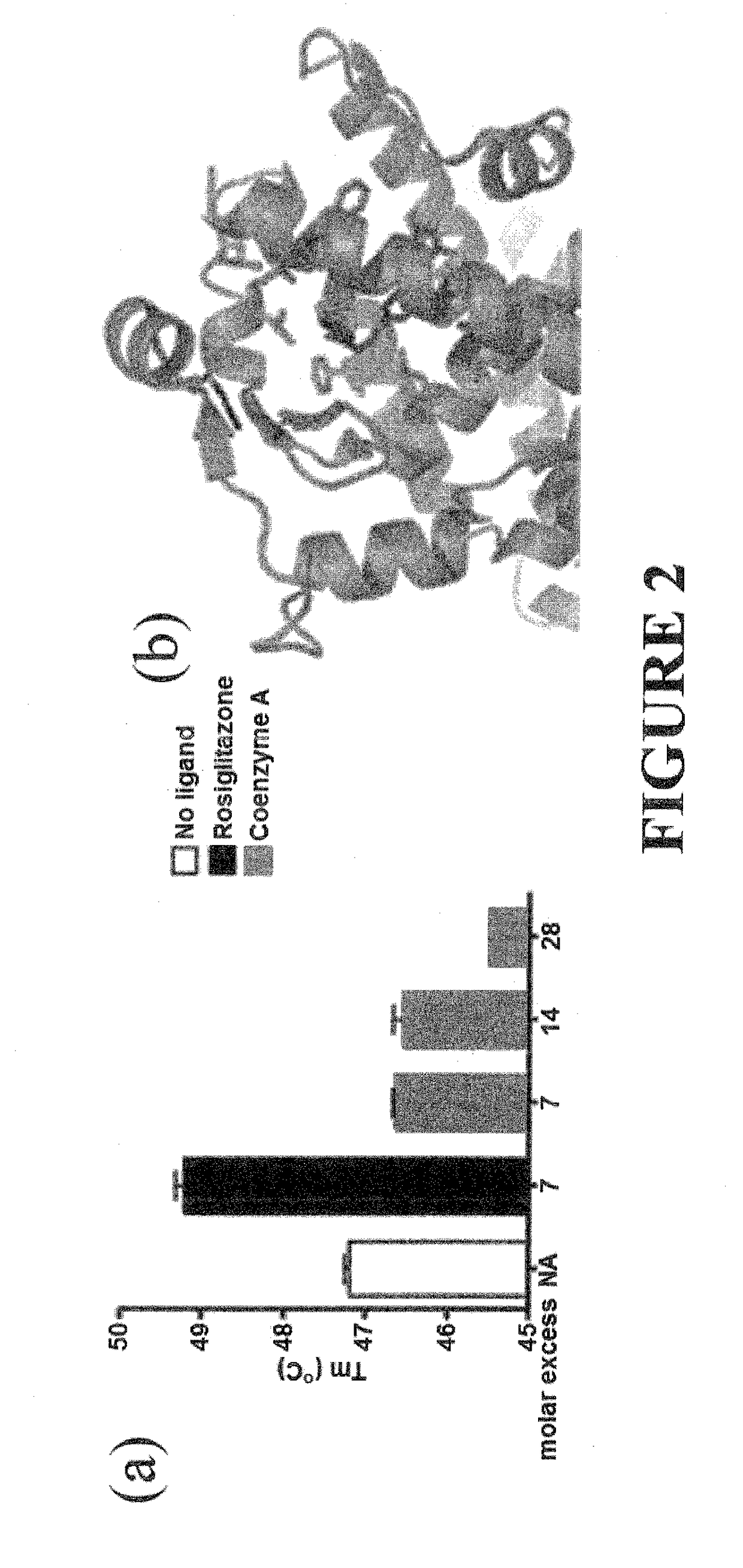 Methods and systems for identifying ligand-protein binding sites