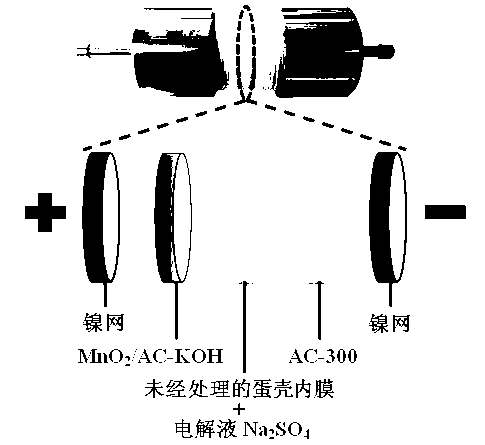 Method for manufacturing high-energy-density and high-power-density asymmetric supercapacitor based on eggshell inner membranes