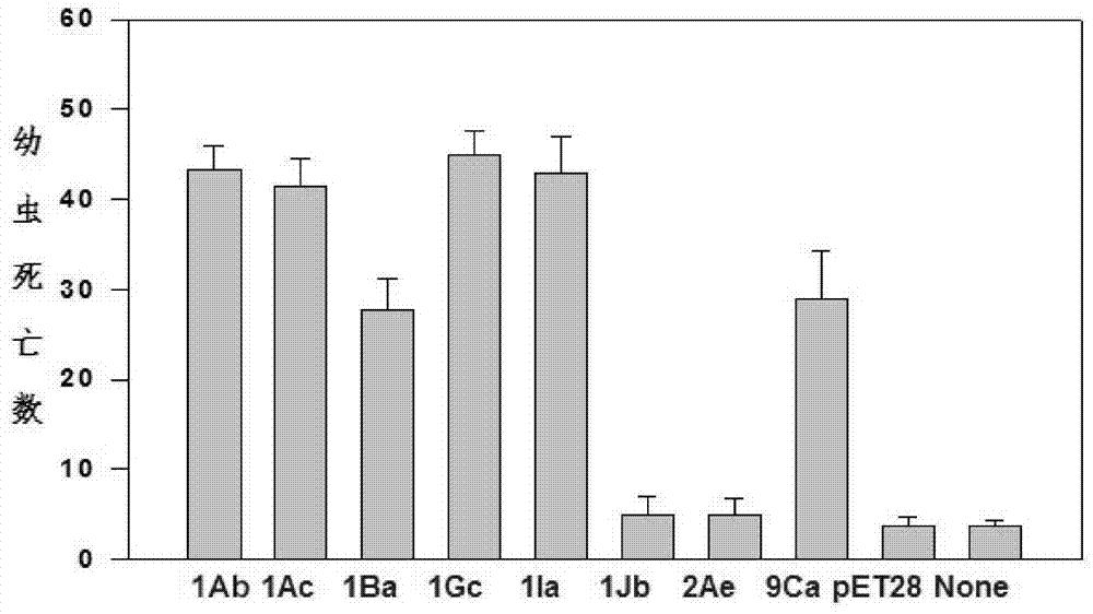 Recombinant anti-insect protein and its preparation method and application