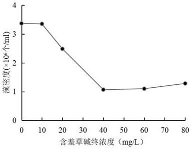 Plant alkaloid algaecide and application thereof