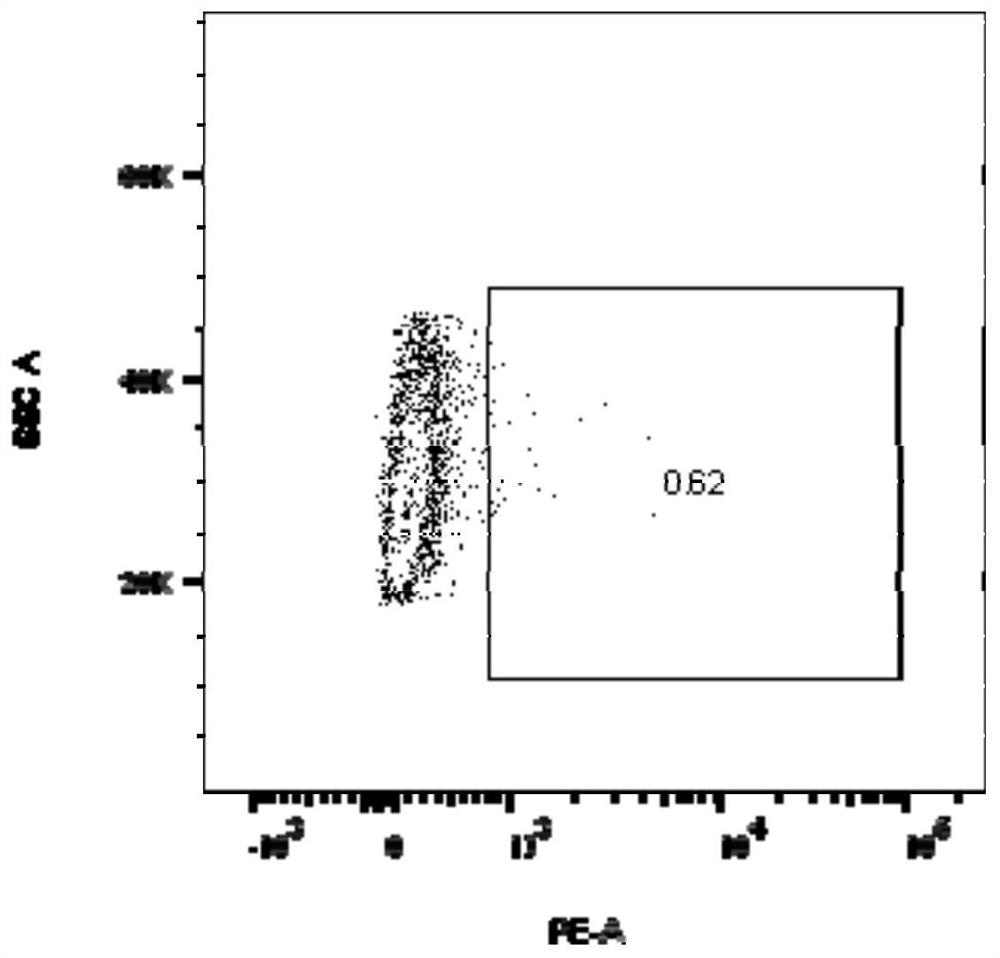 Specific T cell receptor (TCR) directed at EGFR L858R gene mutation and application thereof
