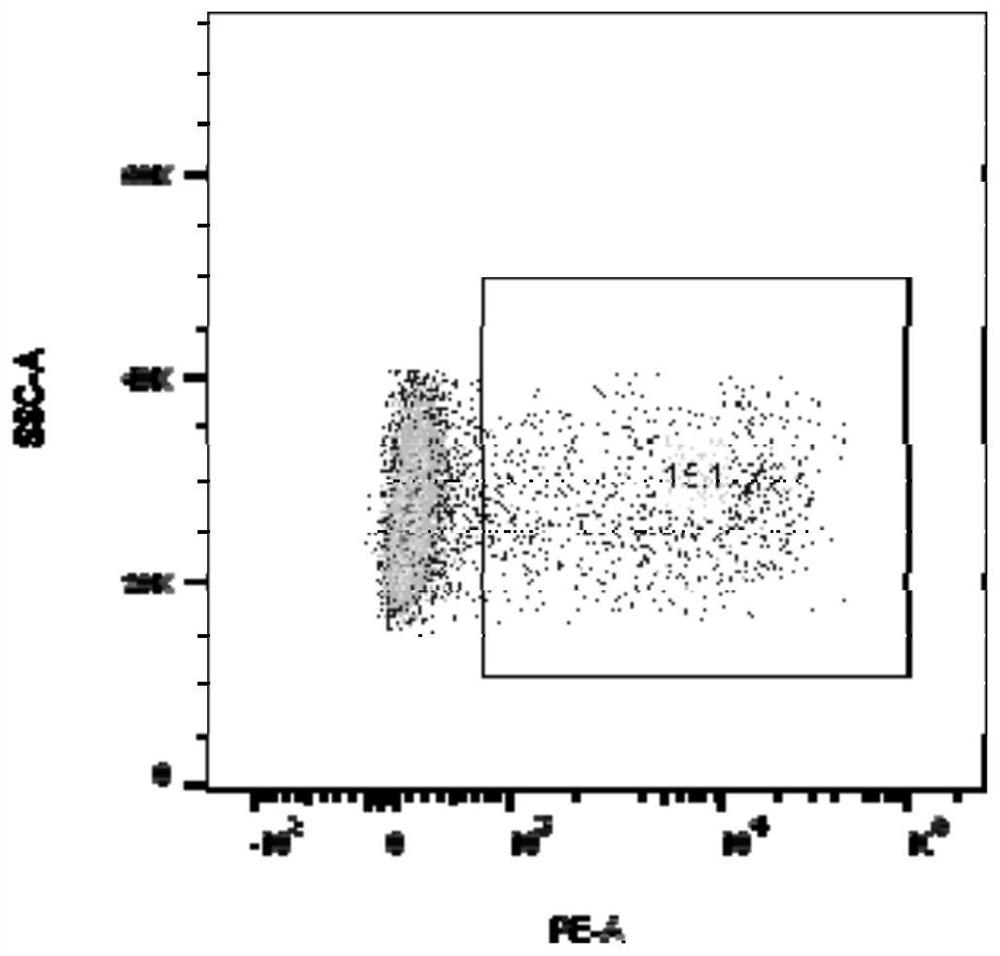 Specific T cell receptor (TCR) directed at EGFR L858R gene mutation and application thereof