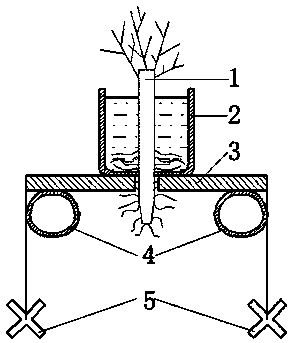 A device for growing terrestrial plants on water