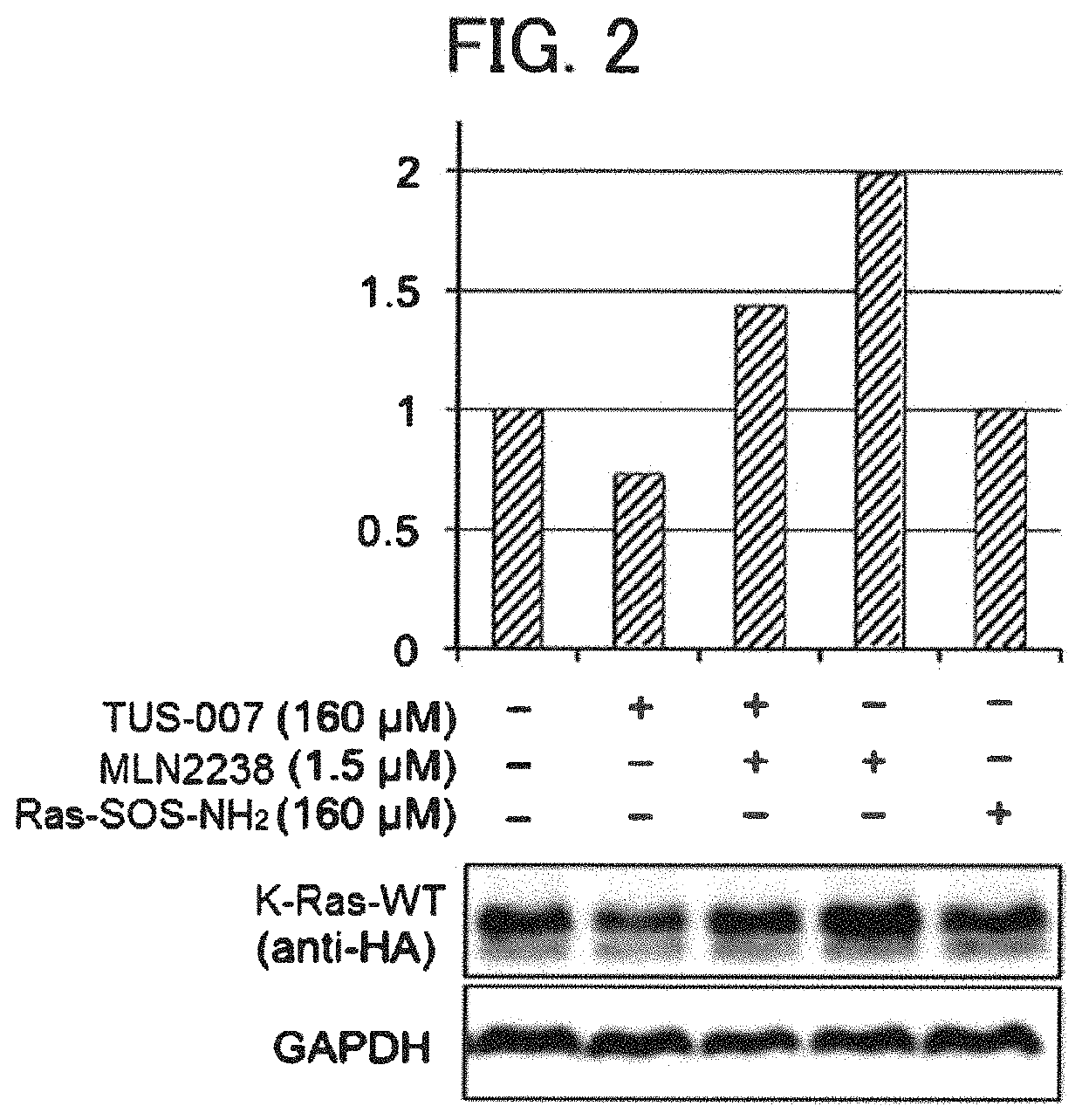 Ras protein degradation inducing molecule and pharmaceutical composition