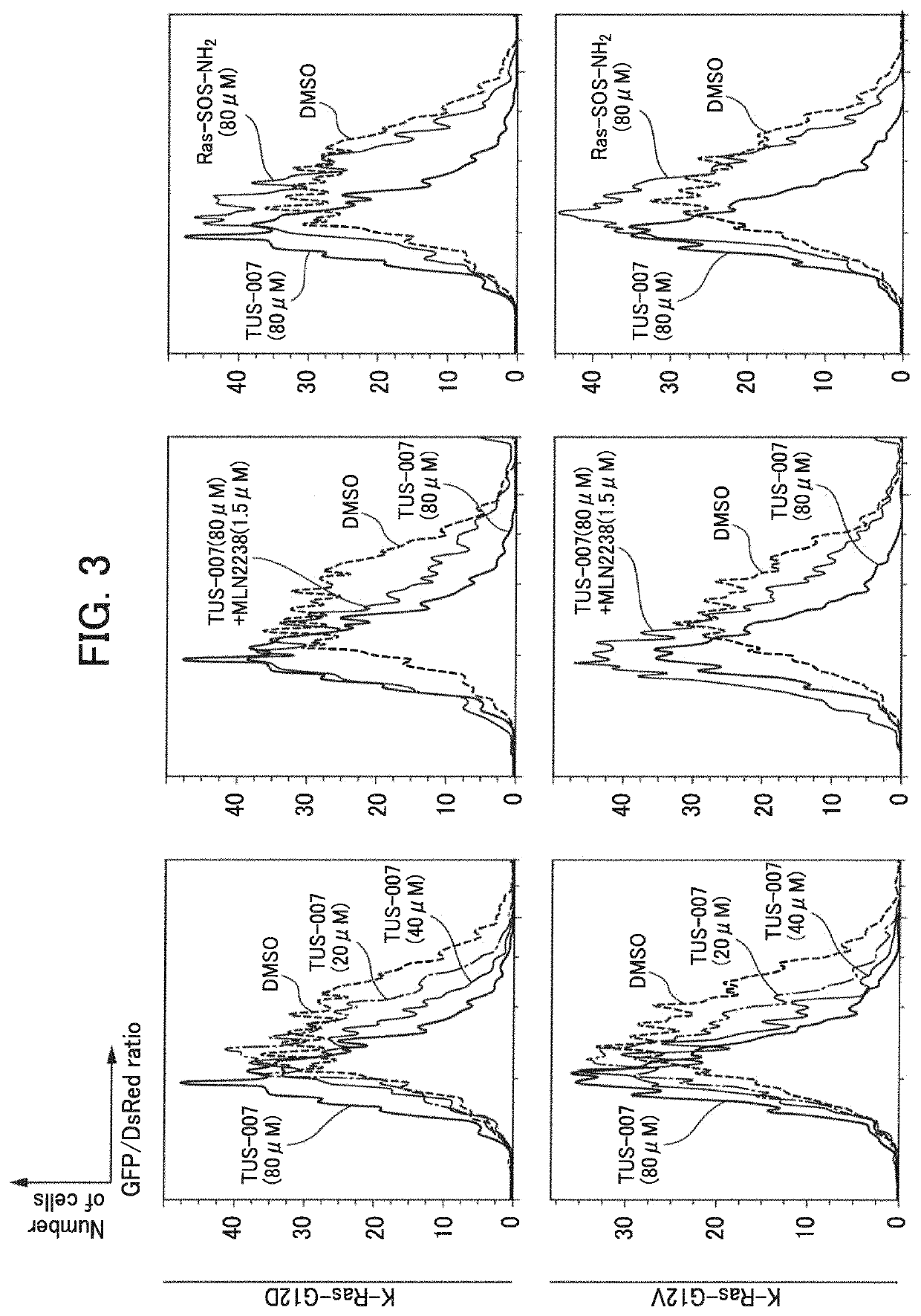 Ras protein degradation inducing molecule and pharmaceutical composition