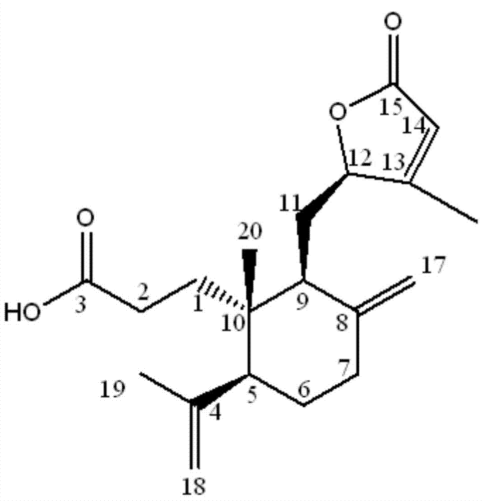 3,4-open-ring helianthemum diterpenoid type compounds, preparing method thereof and applications of the compounds