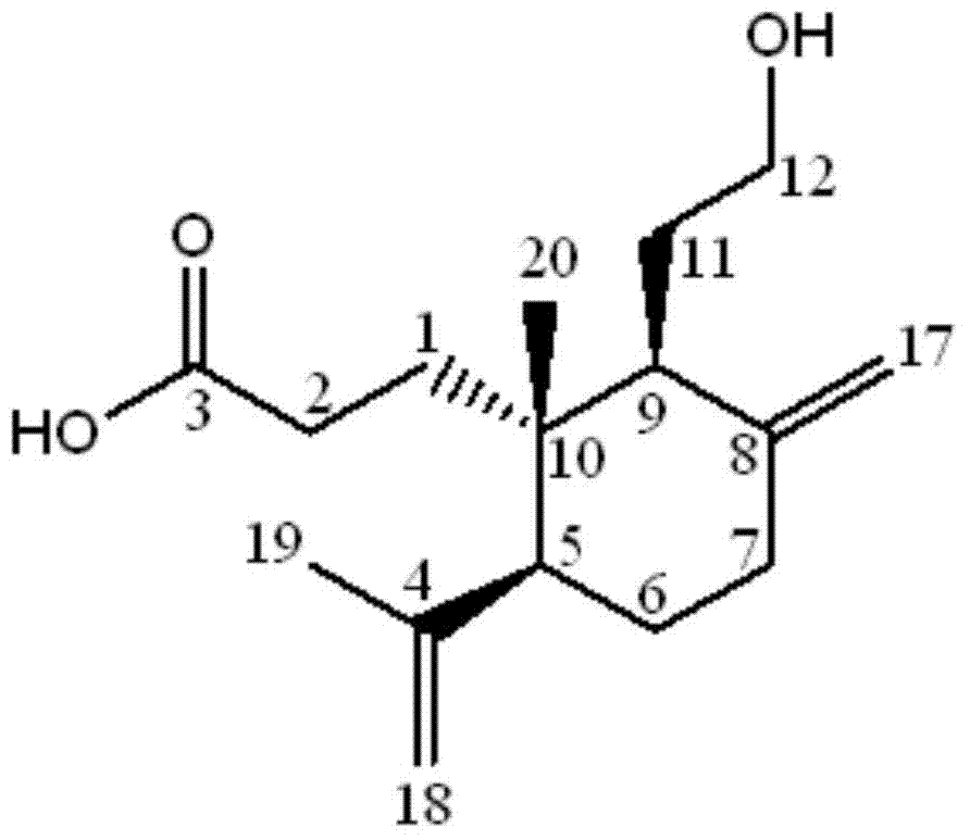 3,4-open-ring helianthemum diterpenoid type compounds, preparing method thereof and applications of the compounds