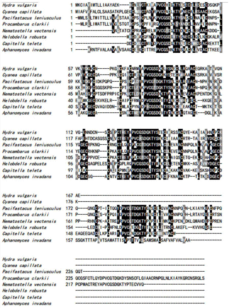 A kind of jellyfish jellyfish serine protease inhibitor and its coding gene and application