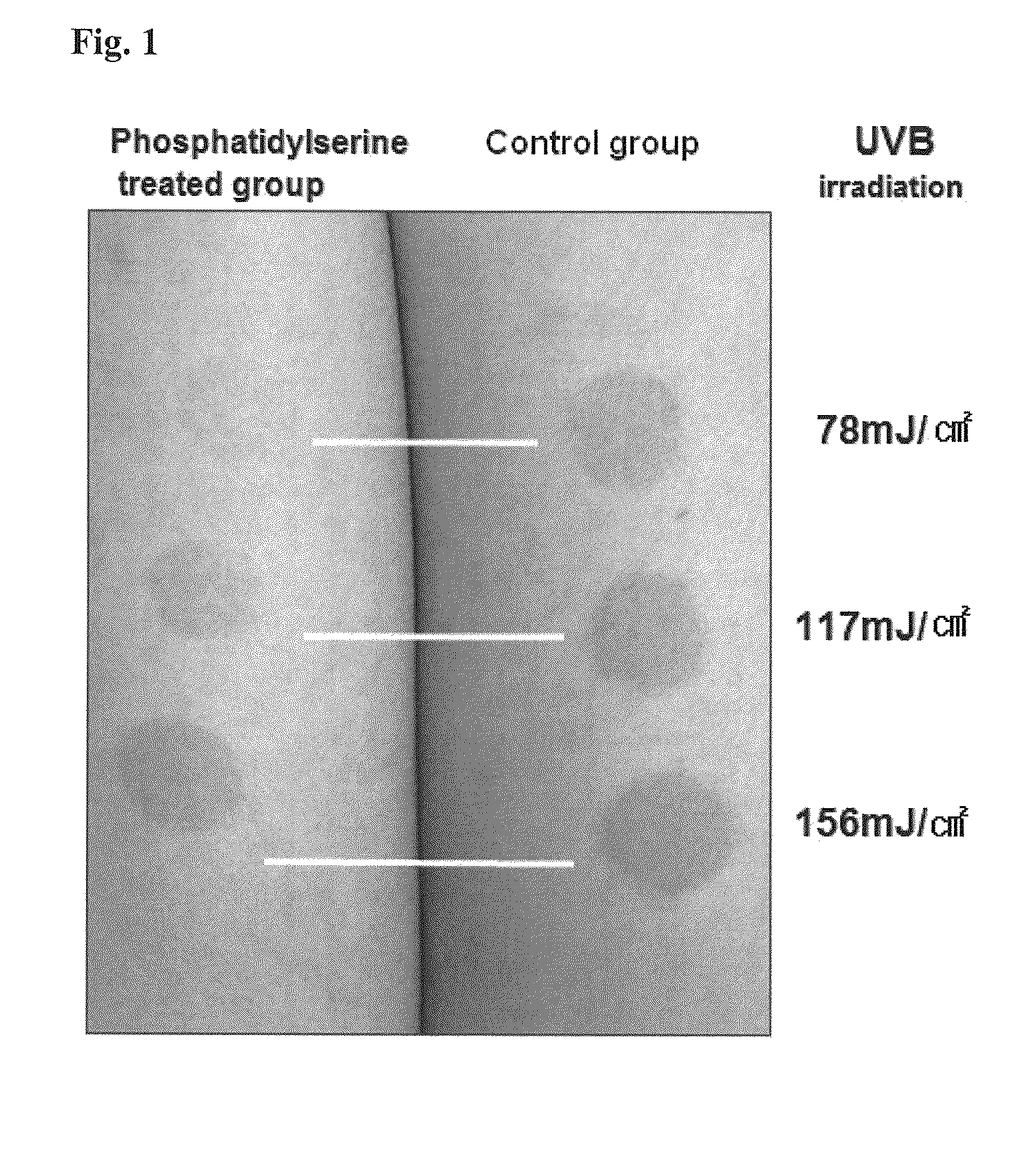 Composition for protection and improvement of skin, or reinforcing skin barrier function comprising phosphatidylserine