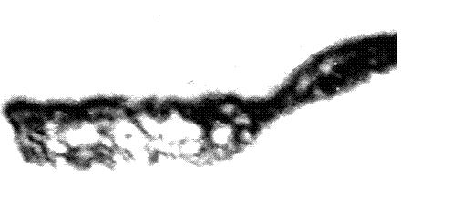 Preparation method of polygeline injection