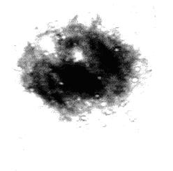 Preparation method of polygeline injection