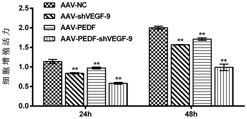 Gene medicine for preventing and treating neovascular eye diseases