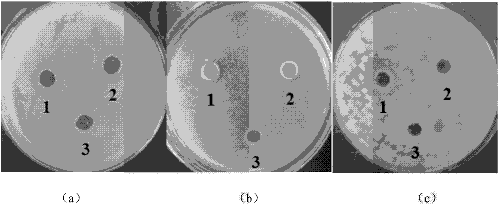 Antibacterial agentia, preparation method thereof, prepared antibacterial soap and a method thereof