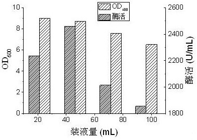 A kind of arginine decarboxylase genetically engineered bacteria and its high-density fermentation culture method