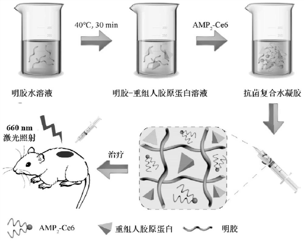A composite hydrogel for promoting wound healing and its preparation method and application
