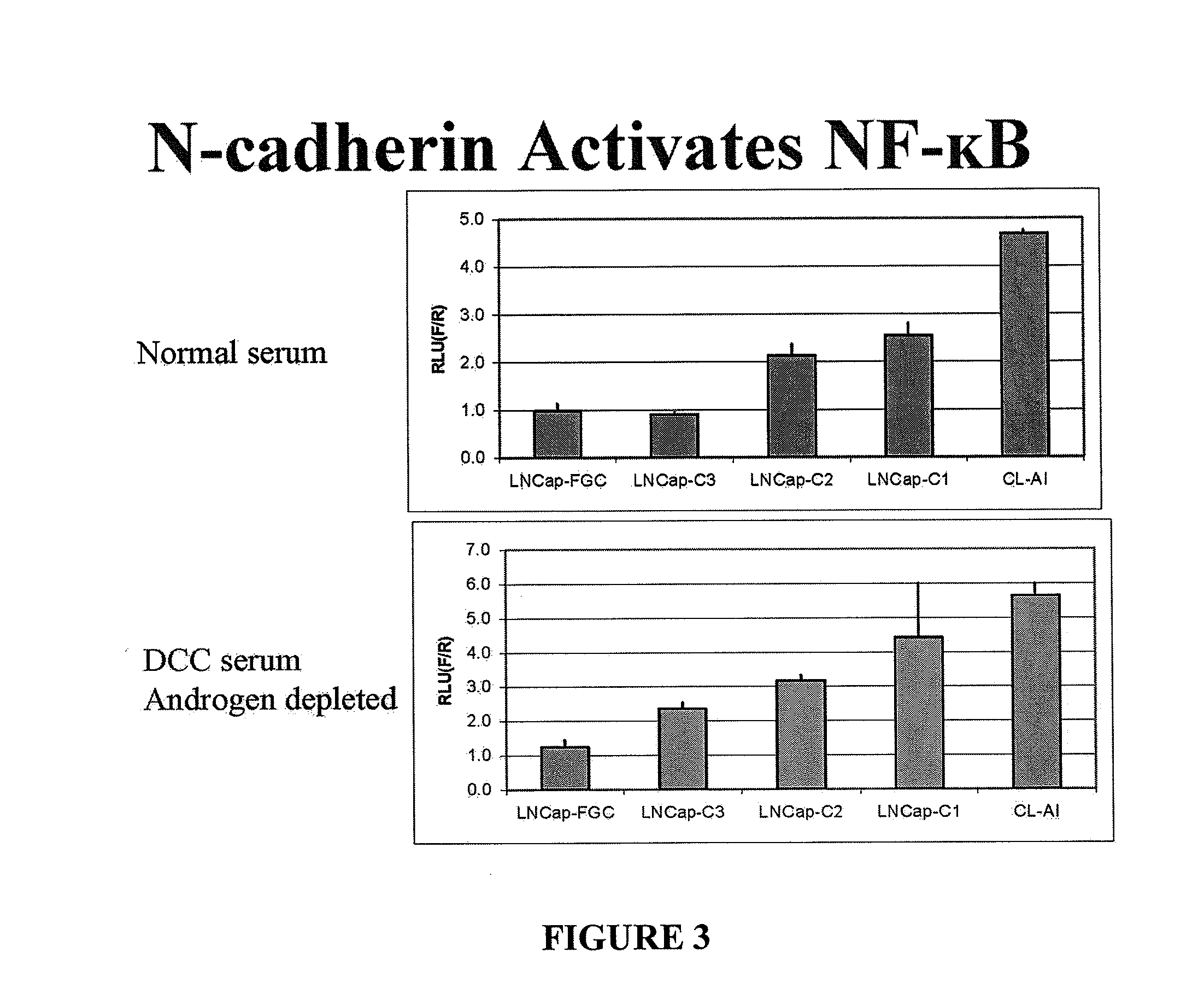 N-cadherin: target for cancer diagnosis and therapy