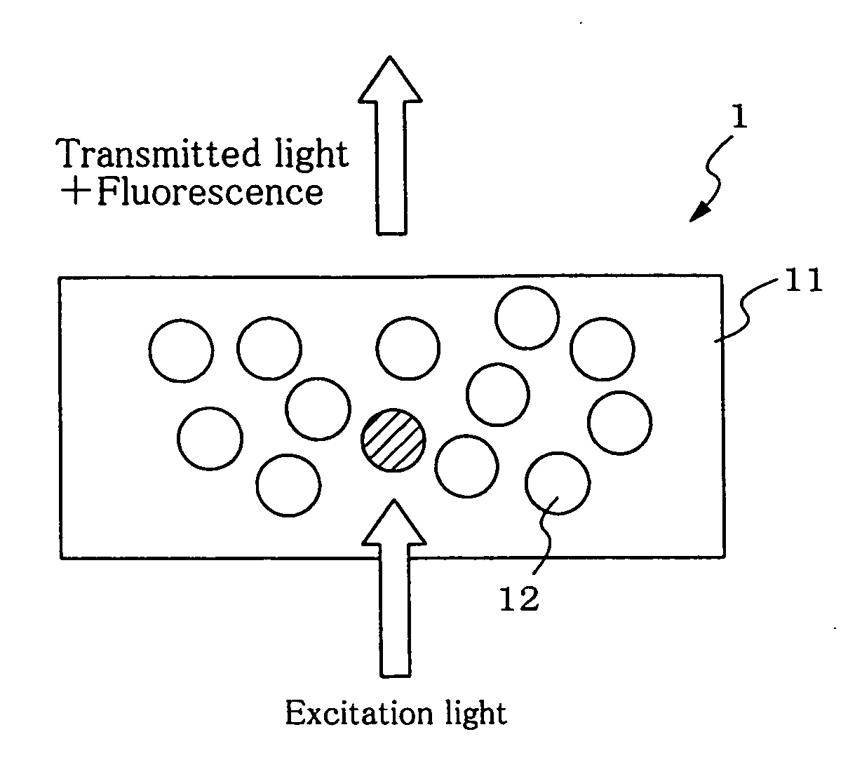 Fluorescent conversion medium and color light emitting device