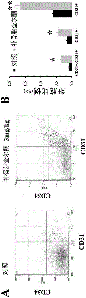 Medical application of bavachalcone and analogue thereof