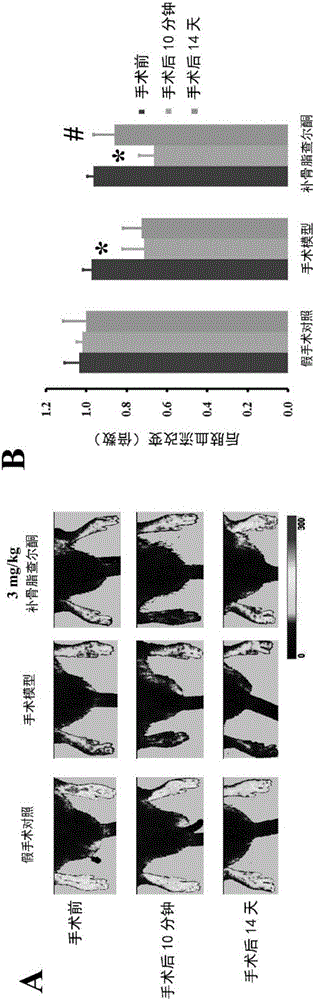 Medical application of bavachalcone and analogue thereof