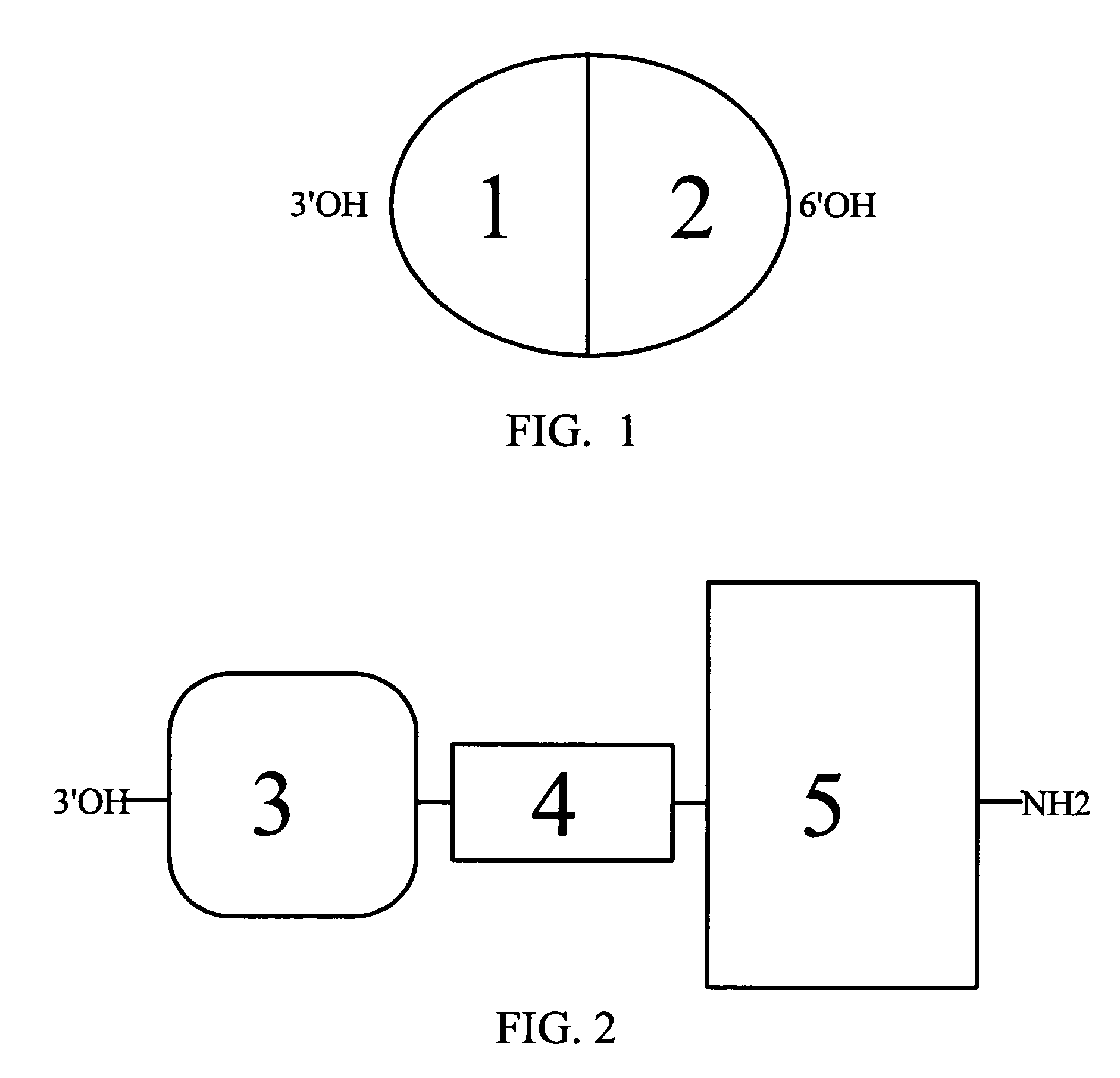 Method of transporting a chimeric hybrid molecule across the blood brain barrier