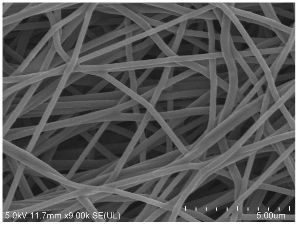 Preparation method and application of molybdenum phosphide/carbon fiber composite material