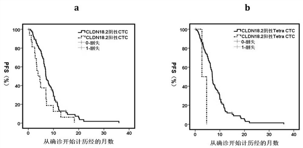 Gastric cancer prognosis biomarker and application thereof