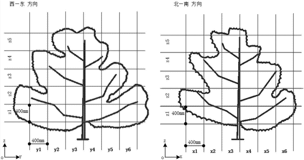 Fruit tree canopy illumination distribution calculation-based clipping evaluation method
