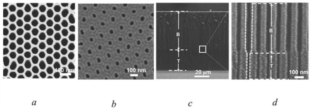 A biomimetic light harvesting device n3/pt1/aao film and its preparation process and application