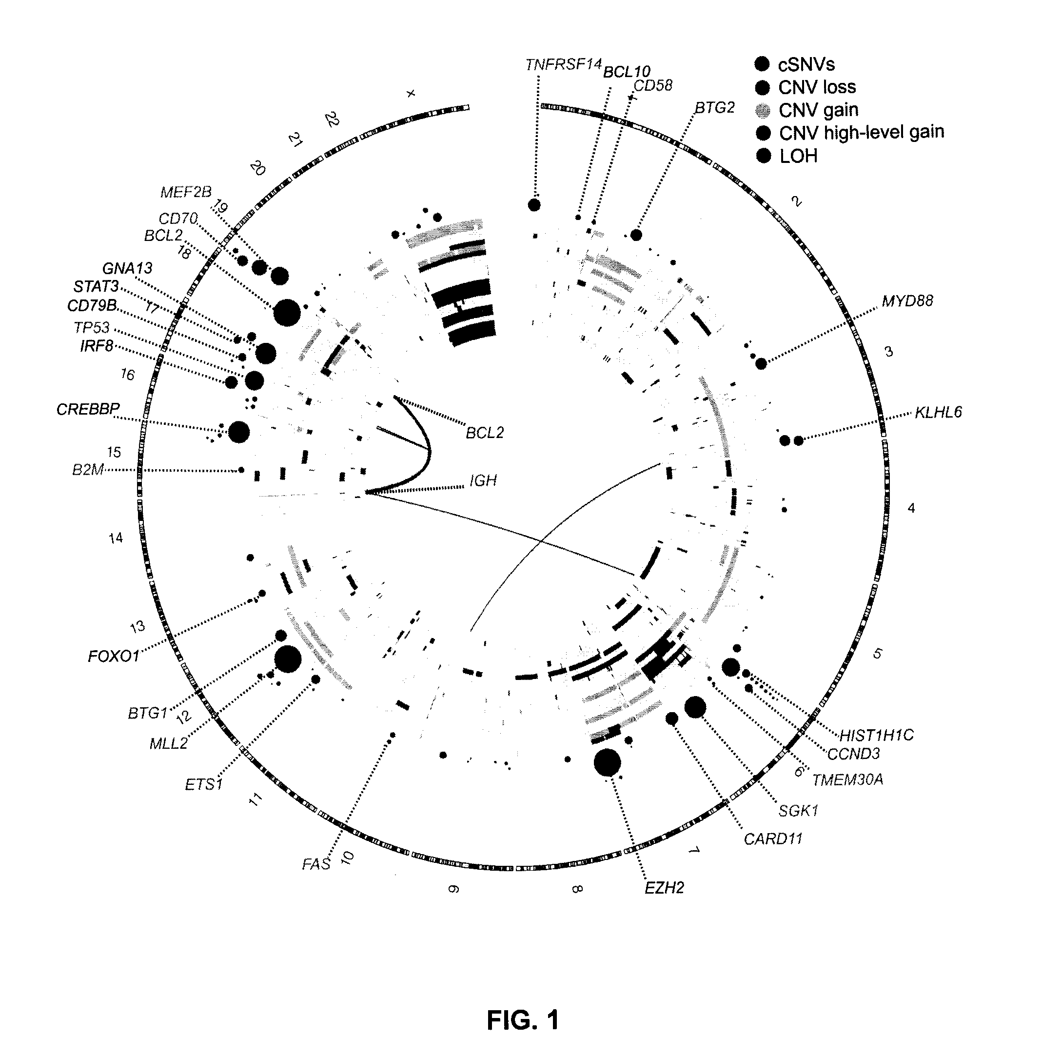 Biomarkers for non-hodgkin lymphomas and uses thereof