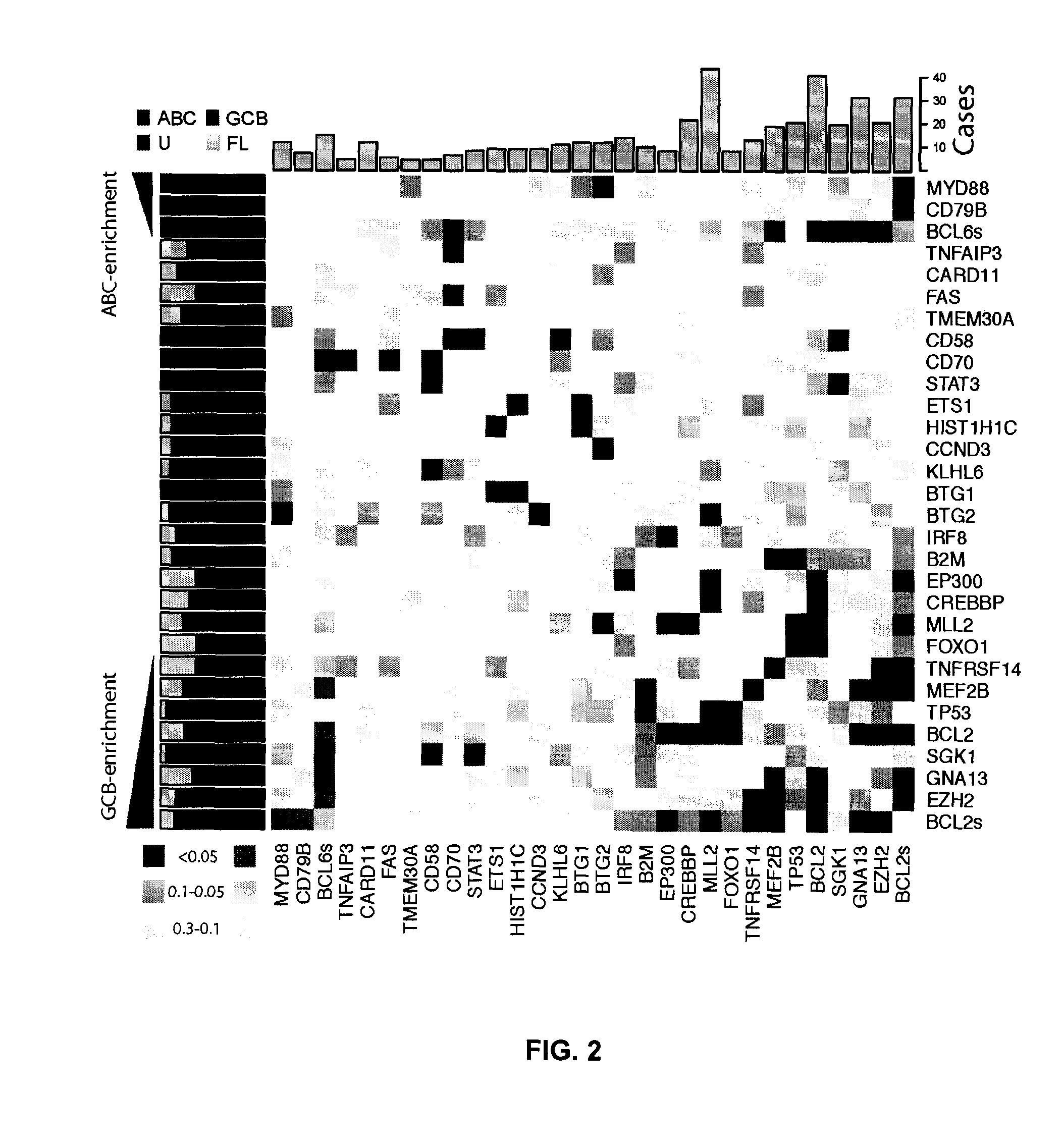 Biomarkers for non-hodgkin lymphomas and uses thereof