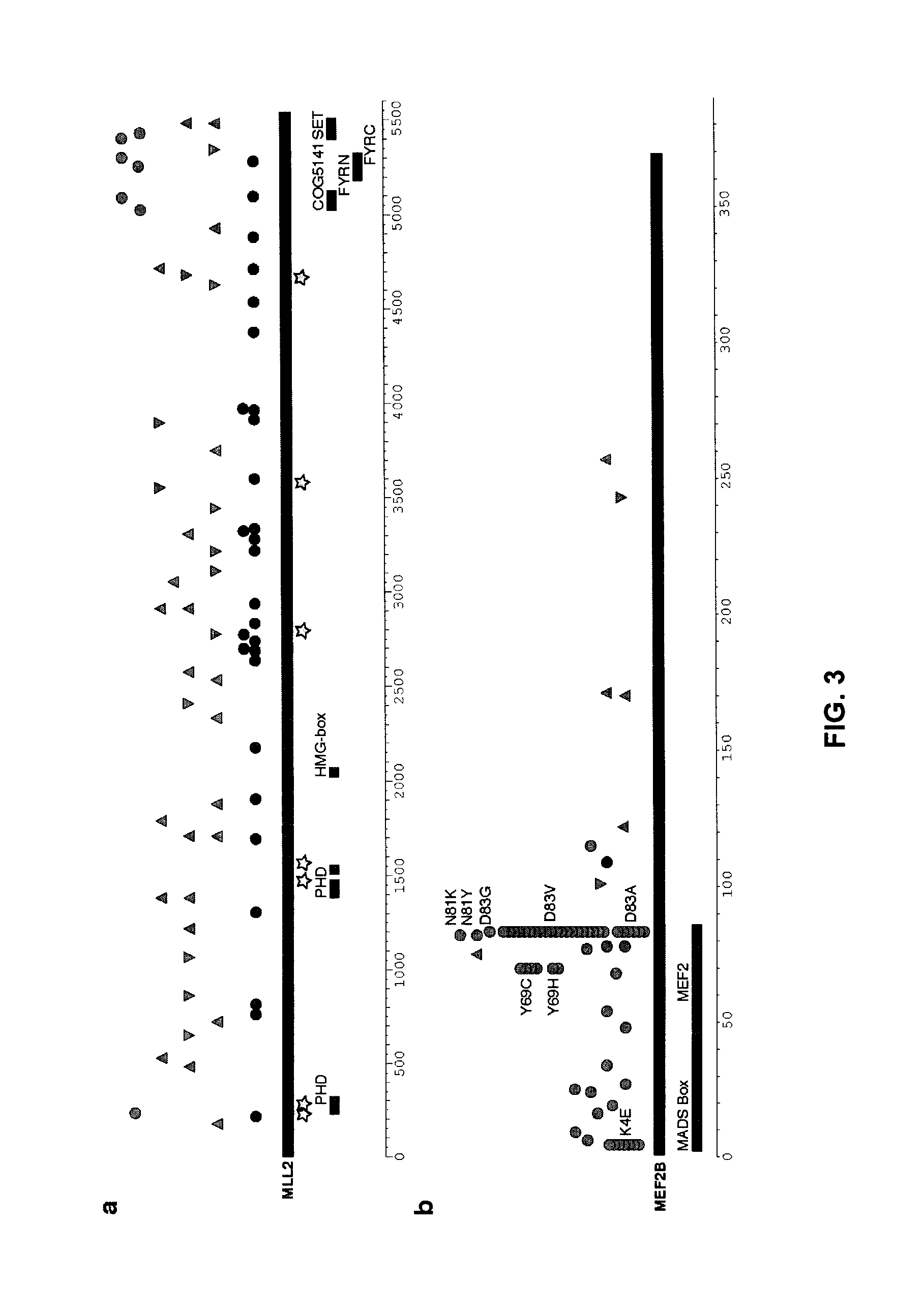 Biomarkers for non-hodgkin lymphomas and uses thereof