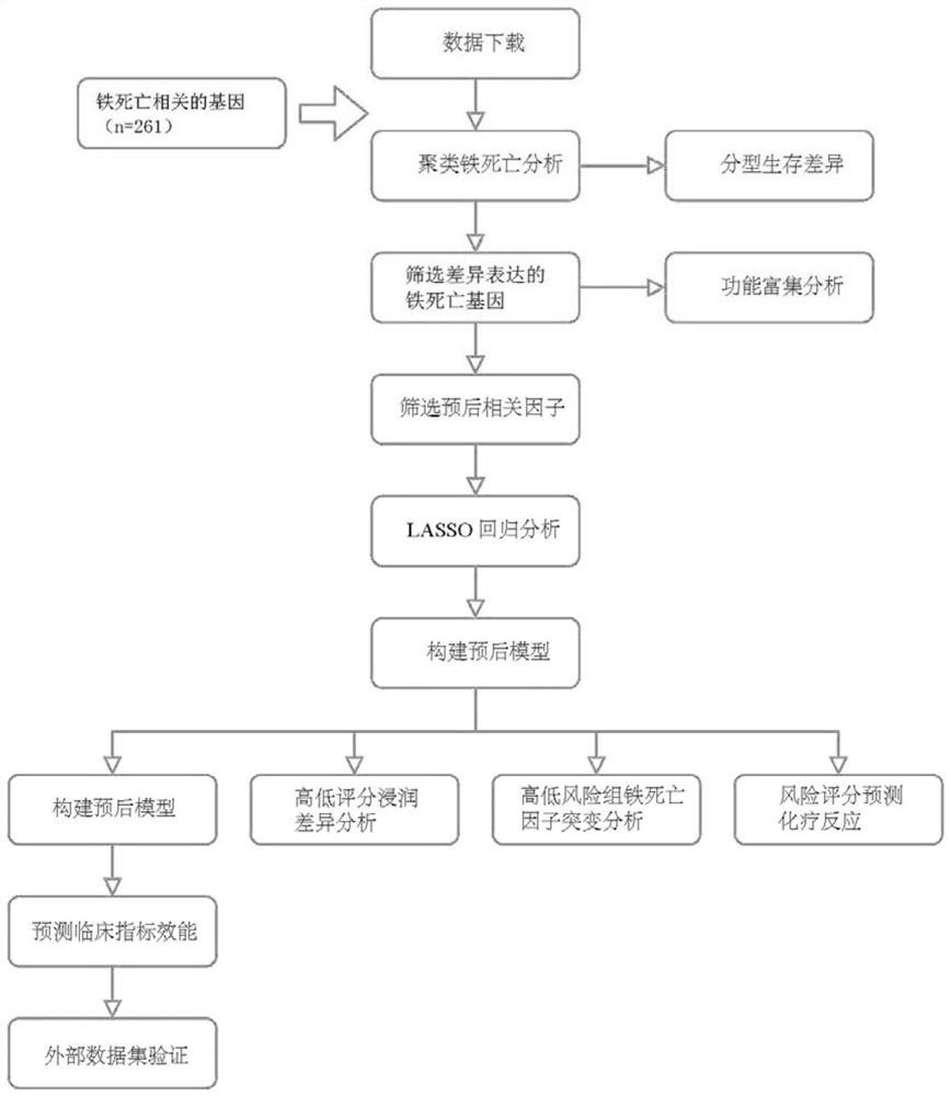 Assessment gene set, kit and system for predicting leukemia prognosis and application