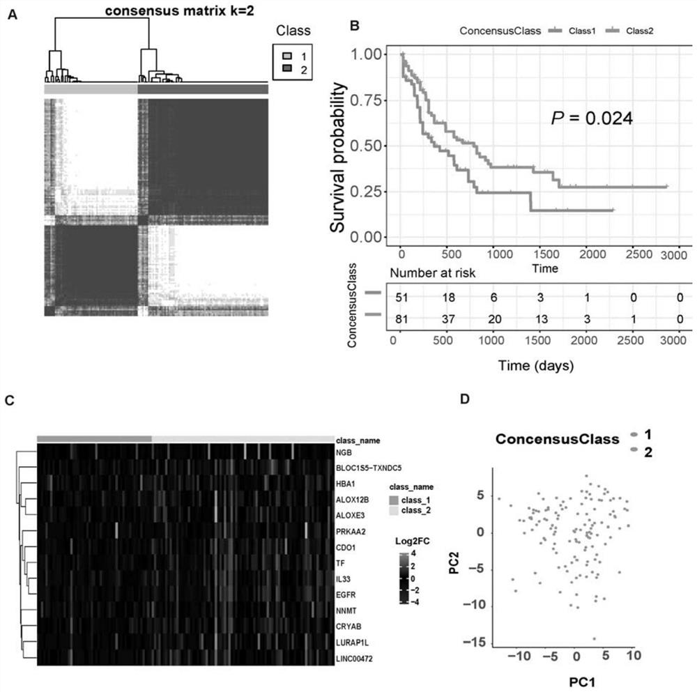 Assessment gene set, kit and system for predicting leukemia prognosis and application