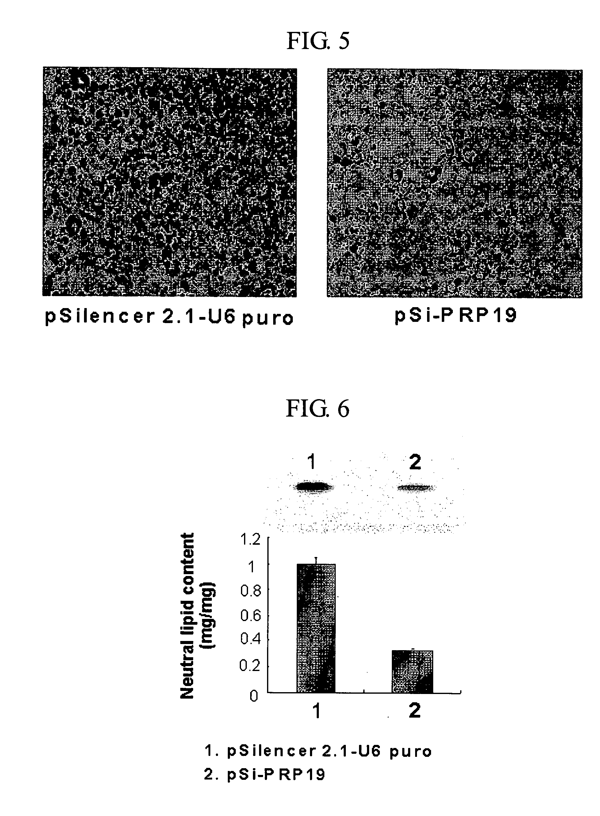 Method for inhibition of lipogenesis by regulating PRP19 expression