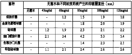 Traditional Chinese medicinal compound collutory and preparation method thereof