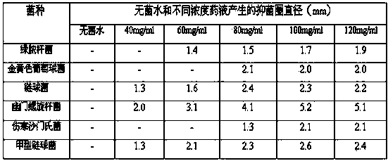 Traditional Chinese medicinal compound collutory and preparation method thereof