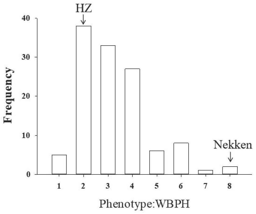 Major QTL for regulating and controlling resistance of sogatella furcifera of rice, molecular marker and application