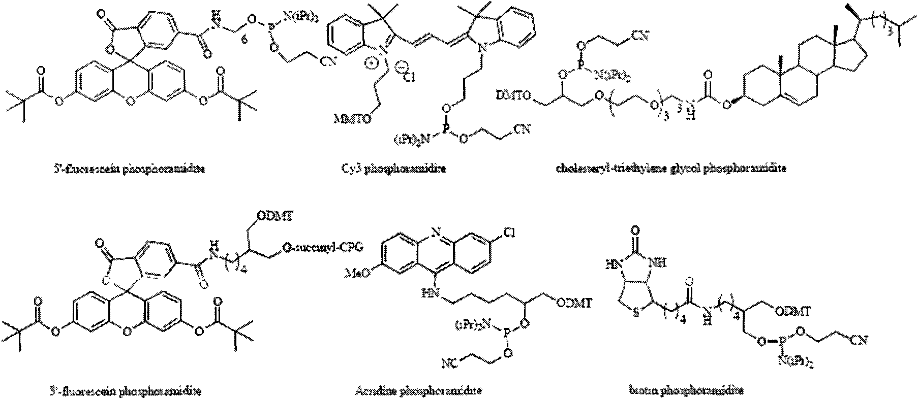 Kit and method for modifying vitro synthesized RNA