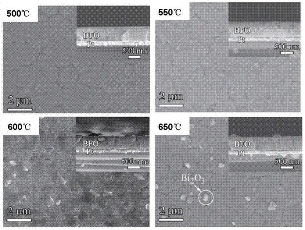 Method for preparing (111) oriented bismuth ferrite films by use of sol gel and chemical solution methods