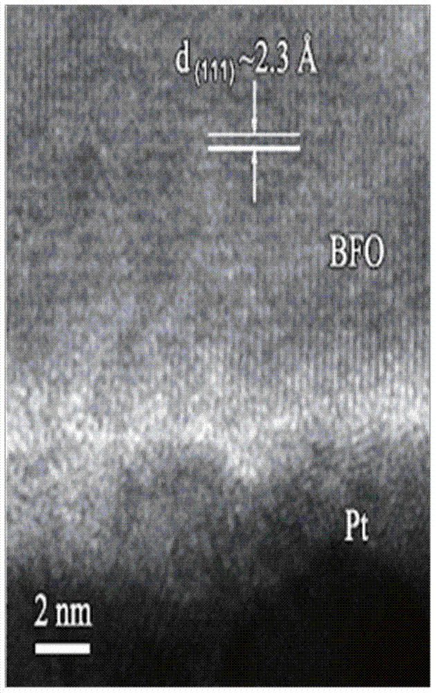 Method for preparing (111) oriented bismuth ferrite films by use of sol gel and chemical solution methods