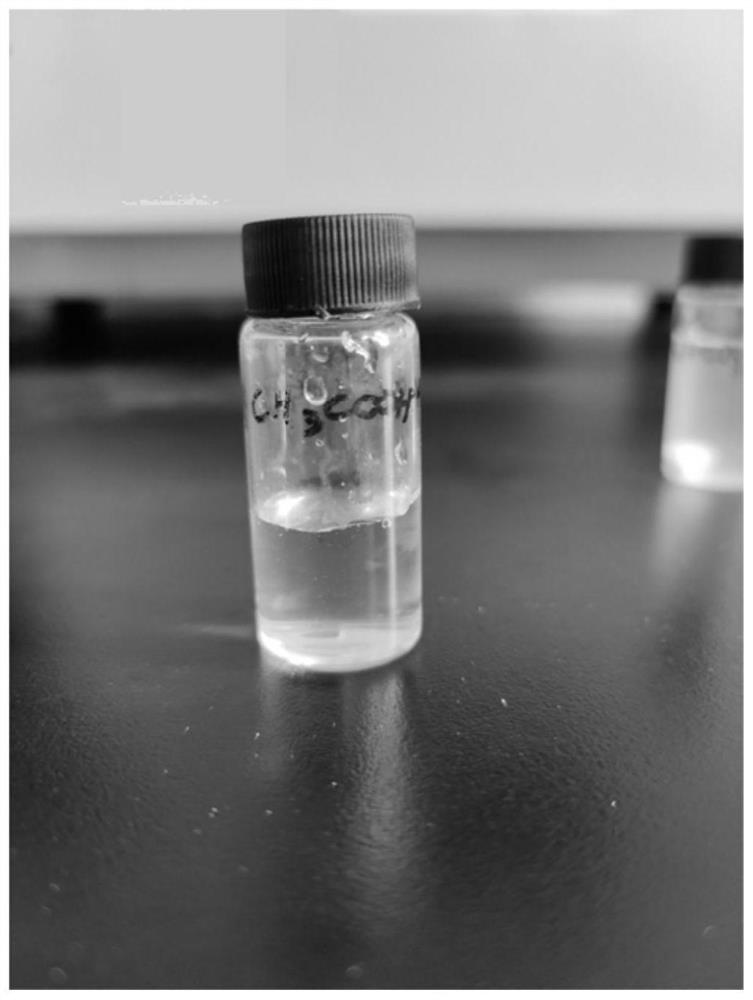 Rapid polymerized hydrogel material as well as preparation method and application thereof