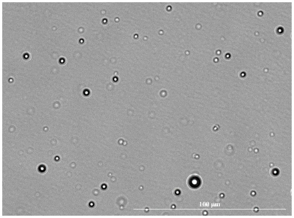 A kind of chitosan drug loading system and its preparation method and application