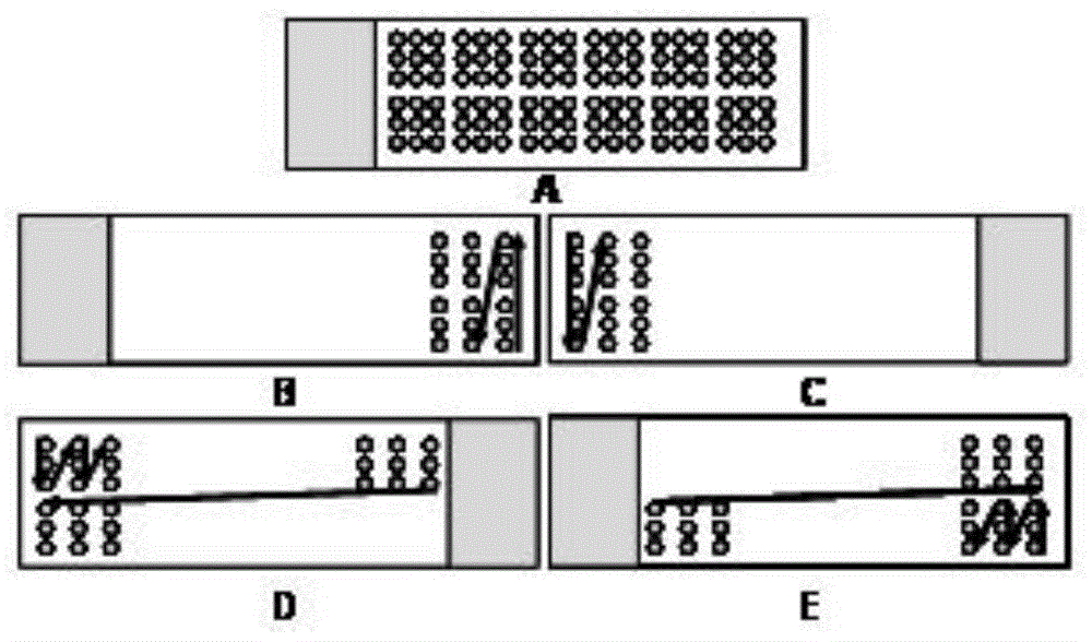 Antibody chip kit and method for detecting aminoglycoside antibiotic residues in food