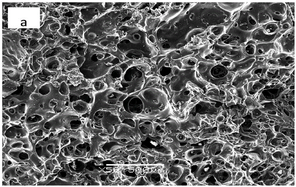 Device and method for preparing coal-based carbon foam through microwave heating under normal pressure