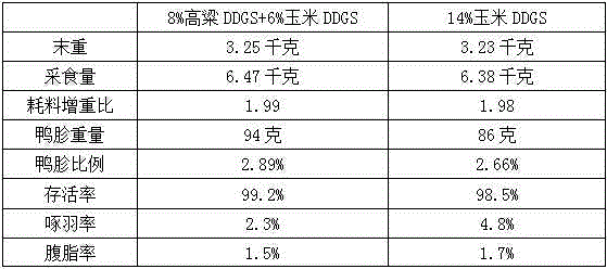 A meat duck feed containing sorghum ddgs