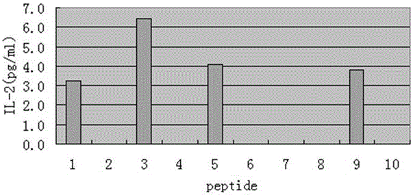 Brucella Omp16 protein antigen epitope polypeptides and application thereof