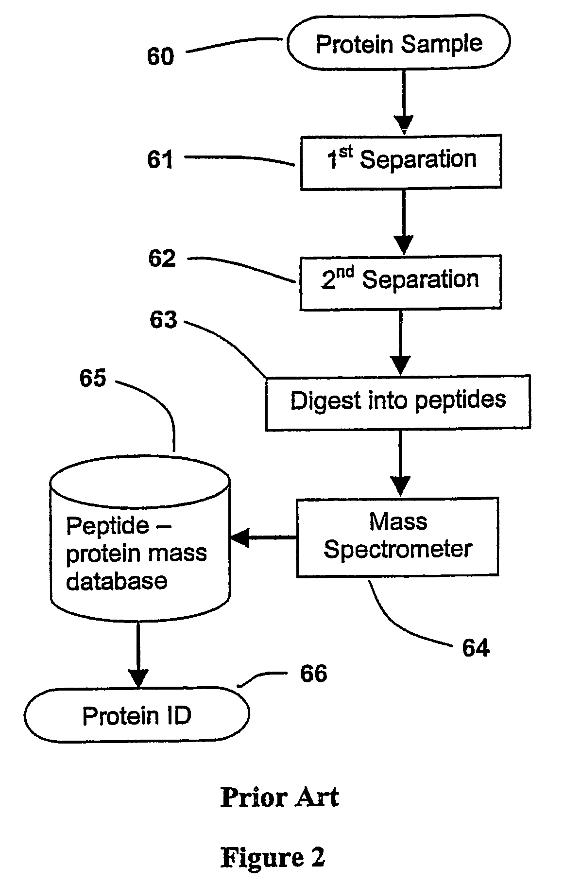 Parallel process for protein or virus separation from a sample