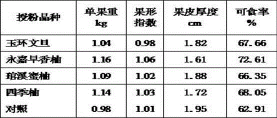 Technology for improving fruit setting rate and inhibiting fruit internal crack of Ma Bu pomelo