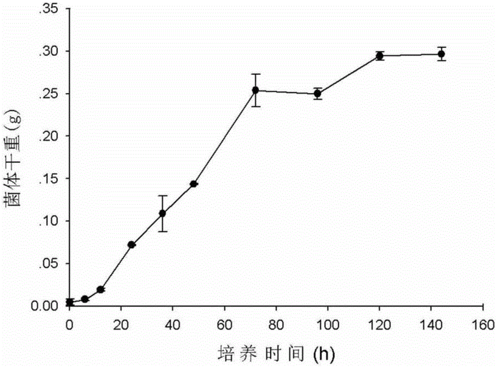 A filamentous fungus Penicillium chrysogenum j-5 with high adsorption of cadmium and its preparation method and application