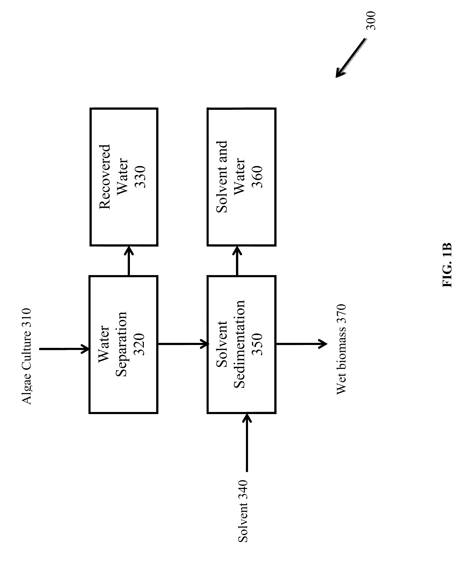 Methods of and systems for isolating nutraceutical products from algae
